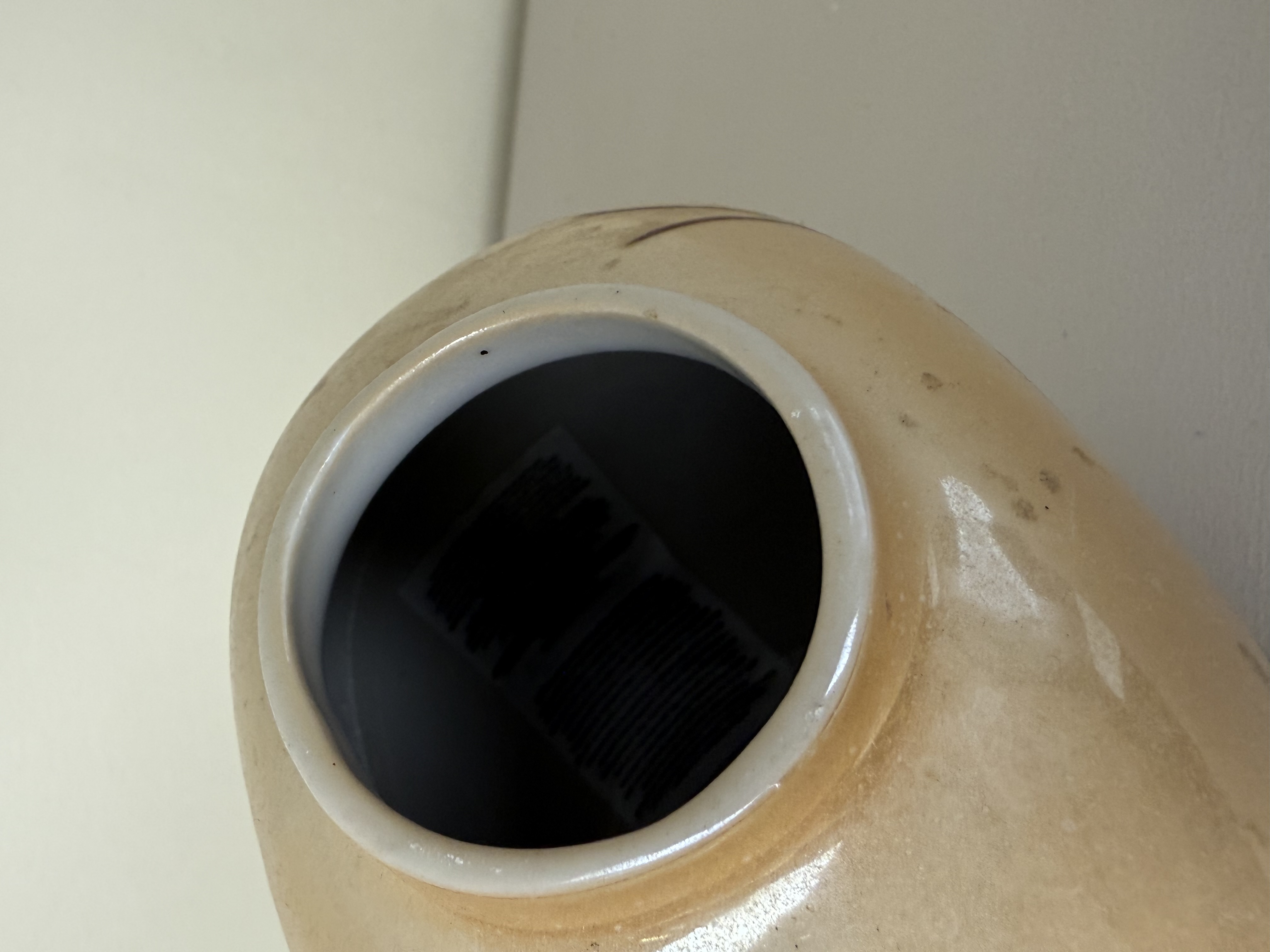 Alternative view of Vaas