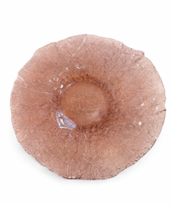 Klaasist alus/vaagen