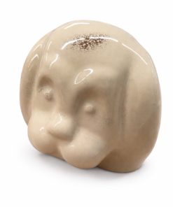 Alternative view of ARS koer