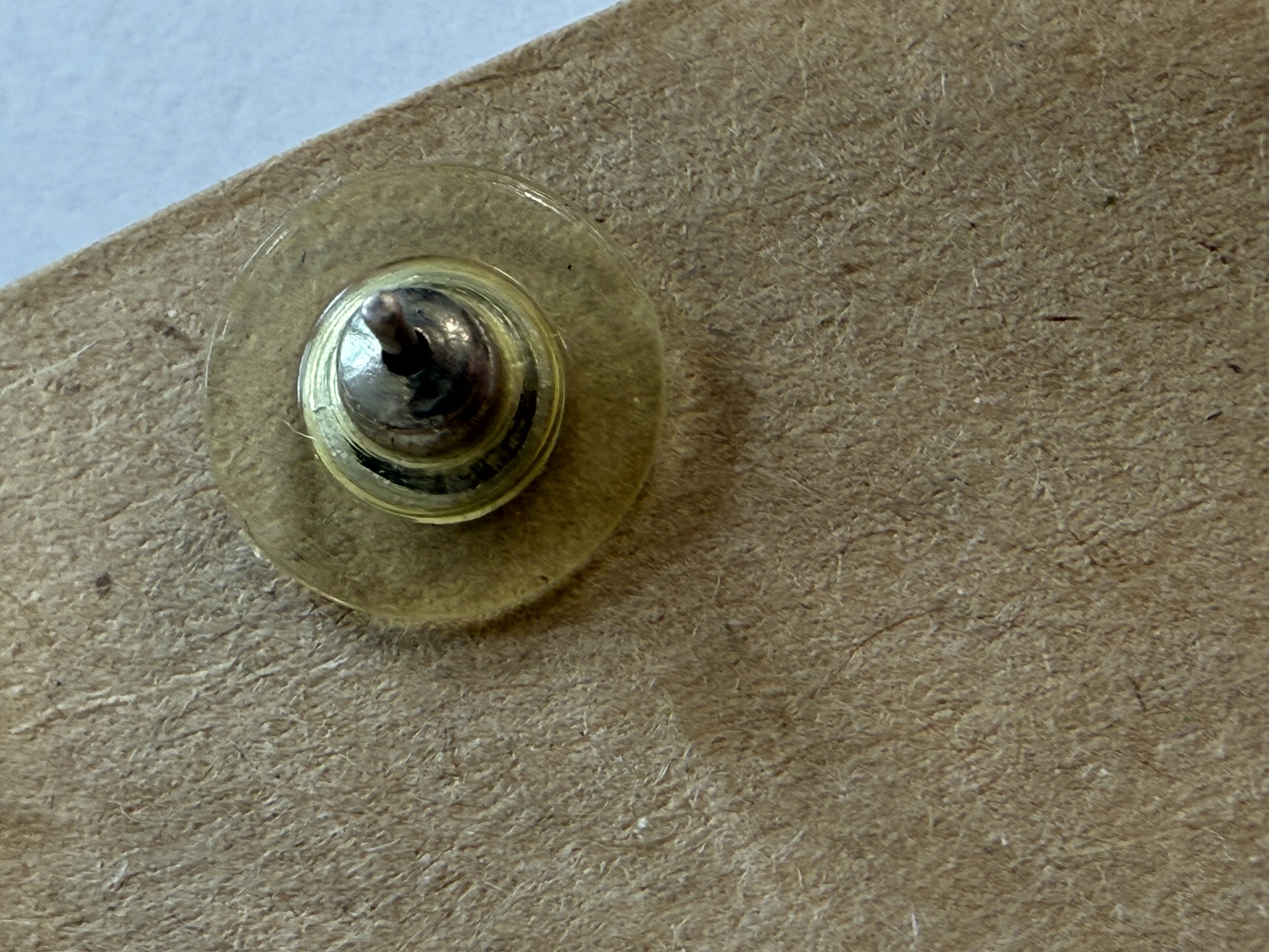 Alternative view of Kõrvarõngad